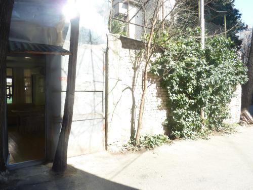 Gardens in Vake Tbilisi