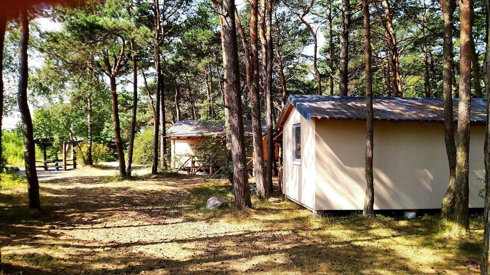 Kurshale in Lesnoy, Russia