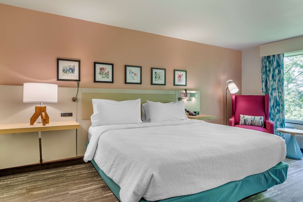 Hilton Garden Inn Atlanta NE Gwinnett Sugarloaf - photo 6