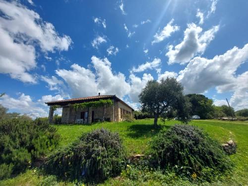 Casale Marte — Magliano In Toscana