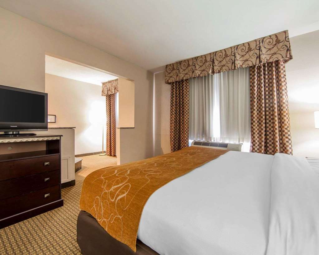 Comfort Suites London South - photo 24