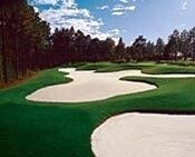 Talamore Resort - photo 8