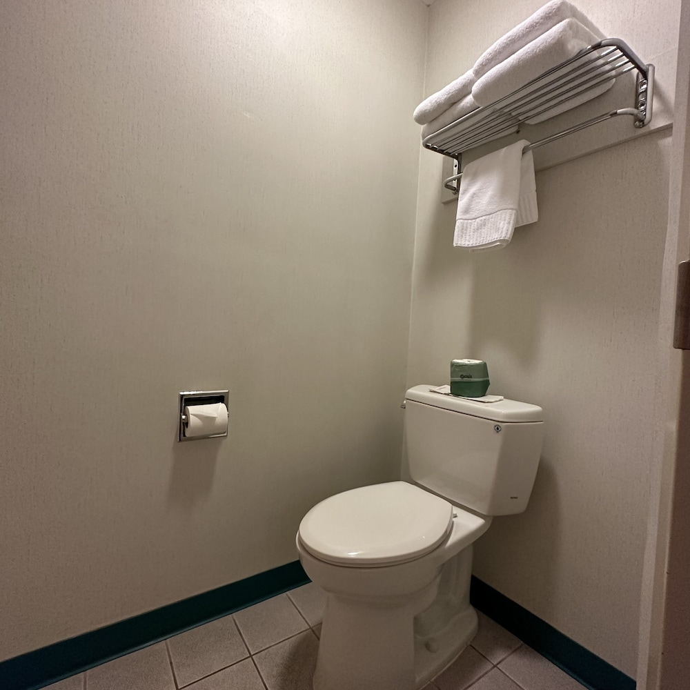 Timberland Inn & Suites - photo 83