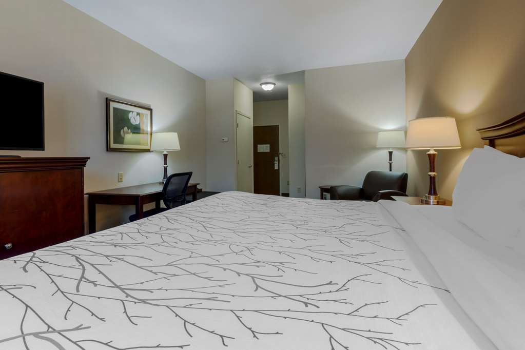 Best Western Plus Sweetwater Inn & Suites - photo 11