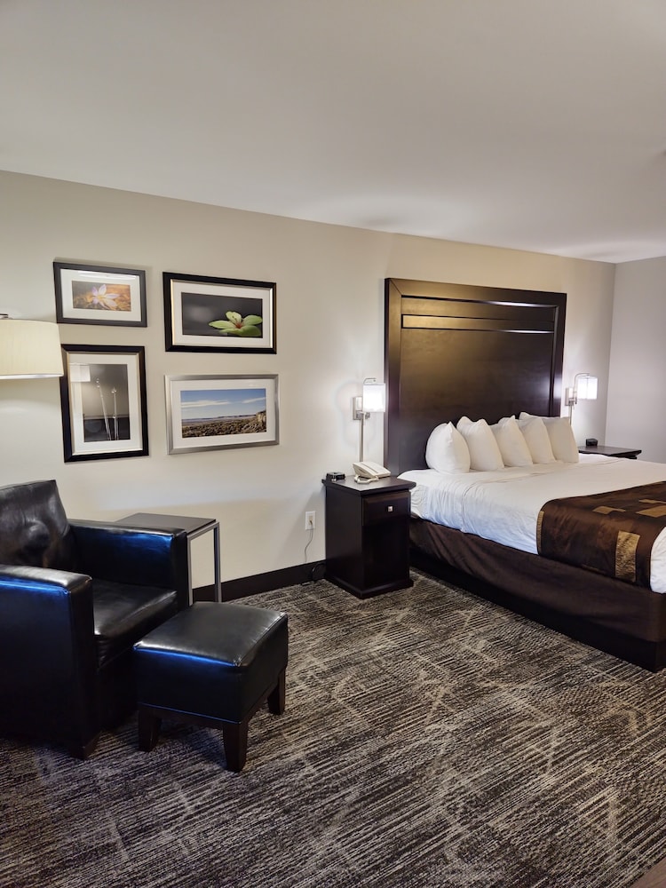 Kelly Inn Billings Montana - photo 28