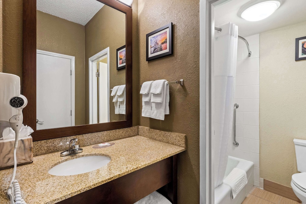 Comfort Inn Roswell Dunwoody - photo 7