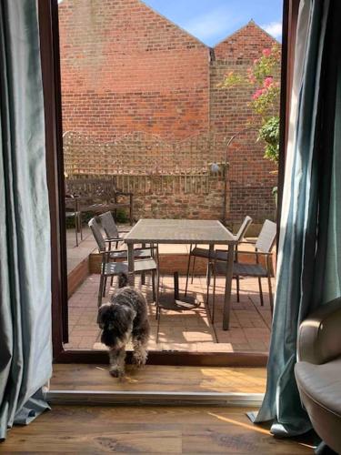 Award Winning Pet Friendly Paddock Cottage