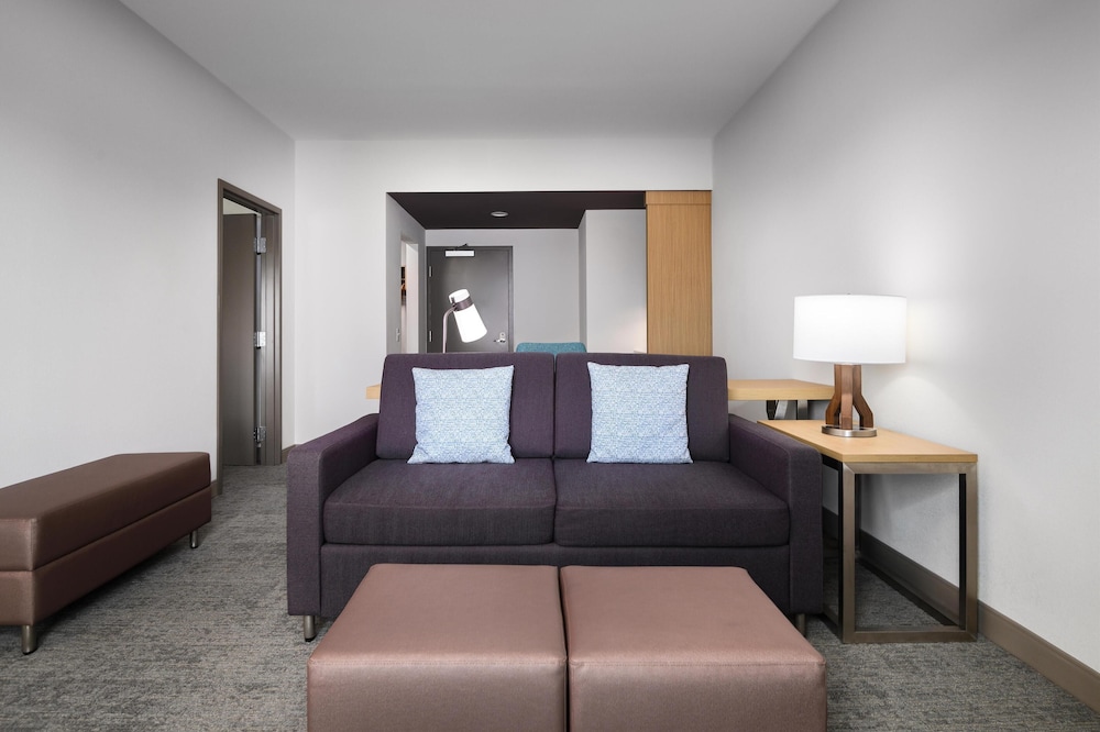 Hilton Garden Inn Orlando I 4 Millenia Blvd Mall - photo 21