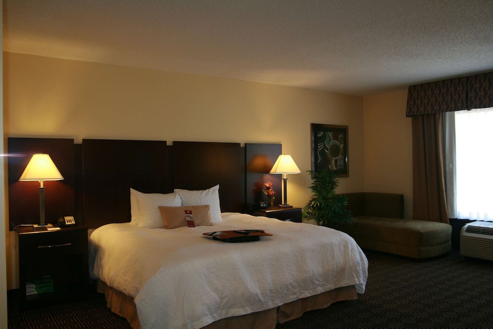 Hampton Inn & Suites Orlando John Young Pkwy S. Park - photo 9