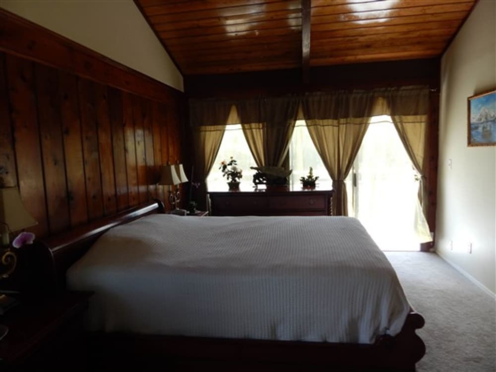 Fern Forest Getaway - photo 10