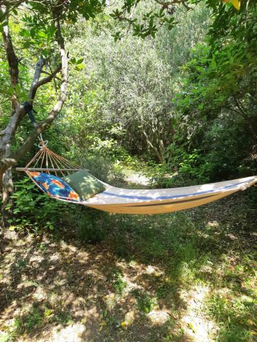 Roulotte Fenouillet in Hyeres, France