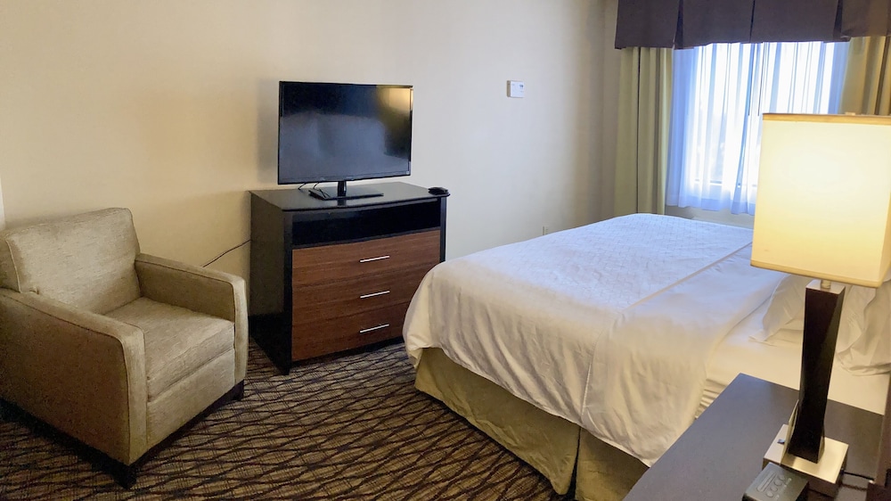 Holiday Inn Express Hotel & Suites Edmond by IHG - photo 13