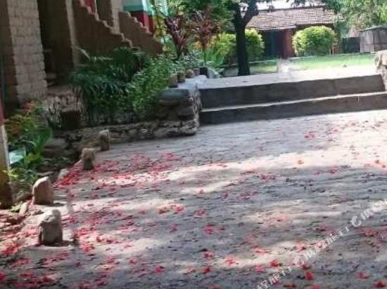 Polo Forest Cottage — Himatnagar — photo 3
