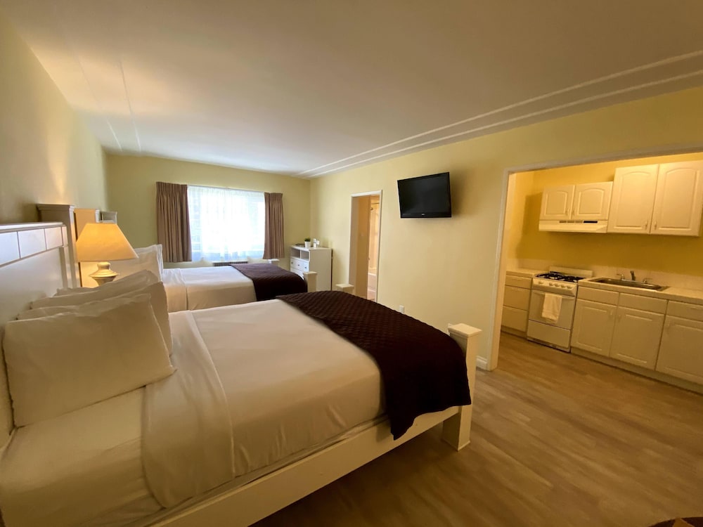 Hollywood Celebrity Hotel - photo 24
