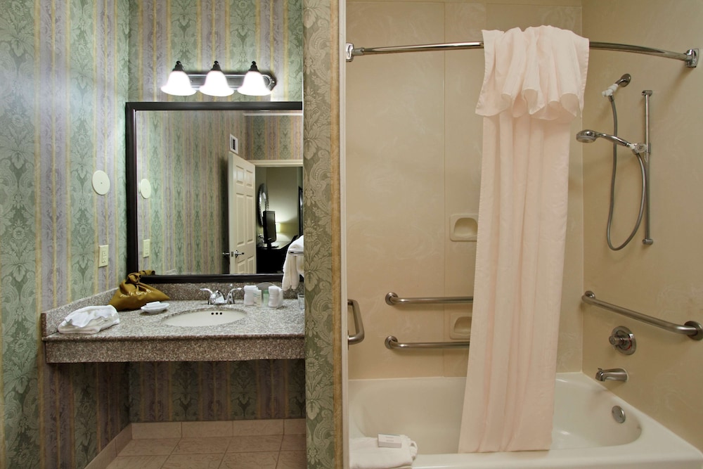 Homewood Suites by Hilton Houston Woodlands - photo 16