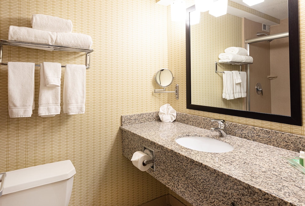 Holiday Inn St. Louis Arpt West Earth City by IHG - photo 30