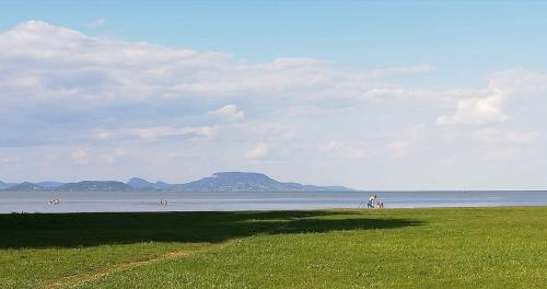 Tulipán Vendégház — Balatonbereny — photo 4