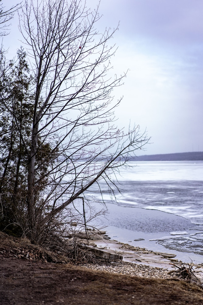 Beach Harbor Resort - photo 65
