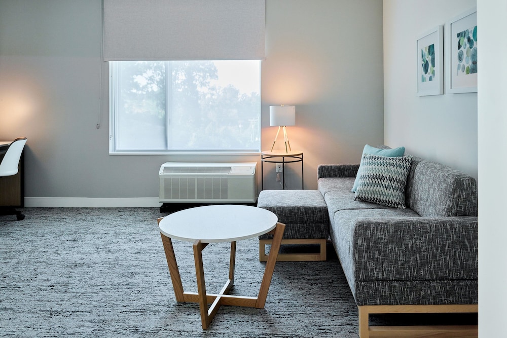 TownePlace Suites by Marriott Chattanooga South East Ridge - photo 10