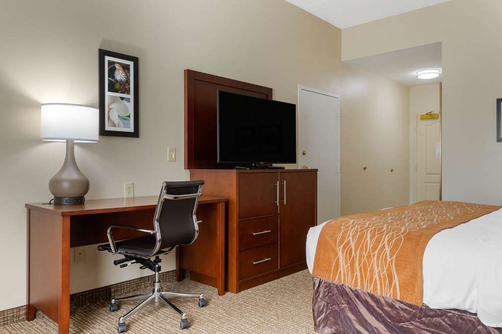 Comfort Inn & Suites Cordele - photo 12