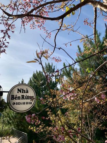 Nhà bên rừng - last minute hotel in Da Lat