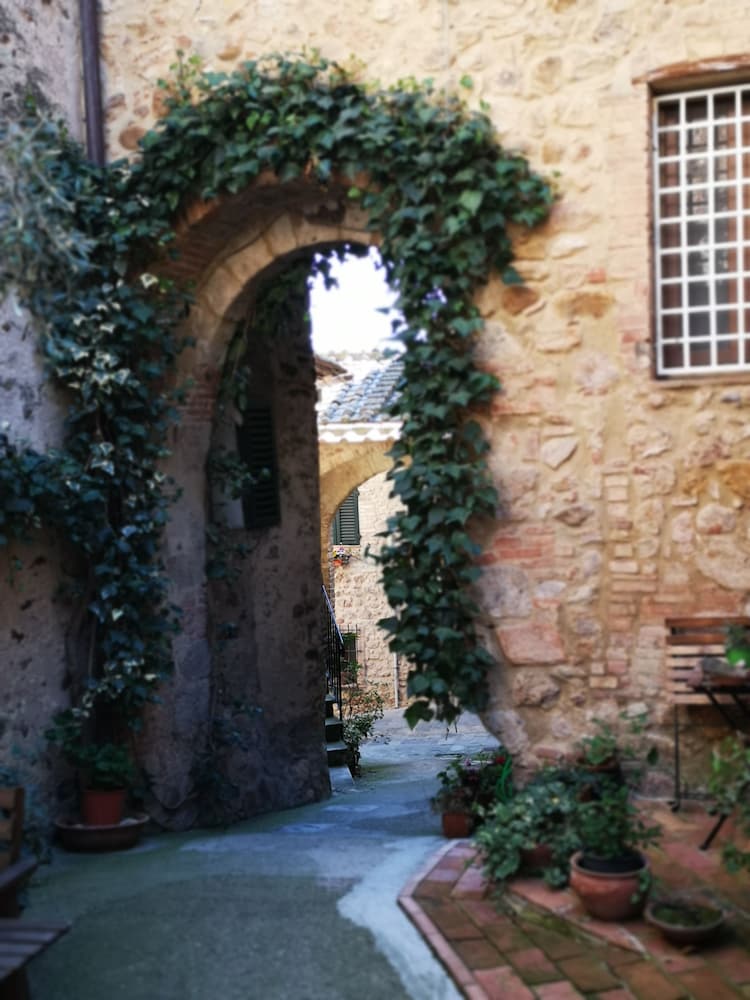L'Antico Borgo di Torri — hotel in Sovicille