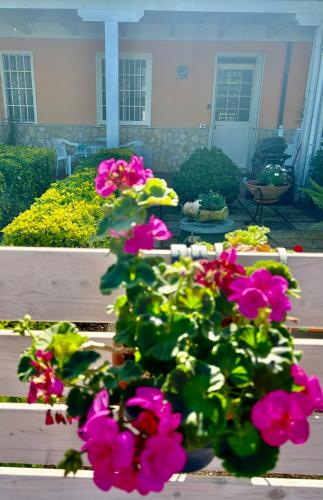 Demetra Apartment Sperlonga — 4-Star Luxury Hotel in Sperlonga, Italy