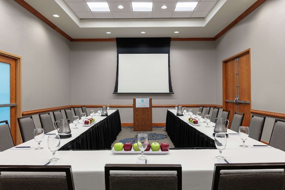 Embassy Suites by Hilton Atlanta at Centennial Olympic Park - photo 66