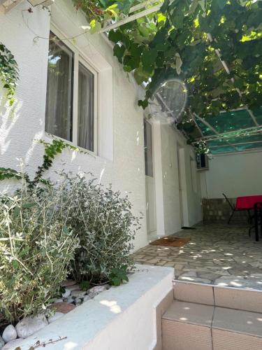 Guest house Villa Slavica — 4-Star Luxury Hotel in Budva, Montenegro