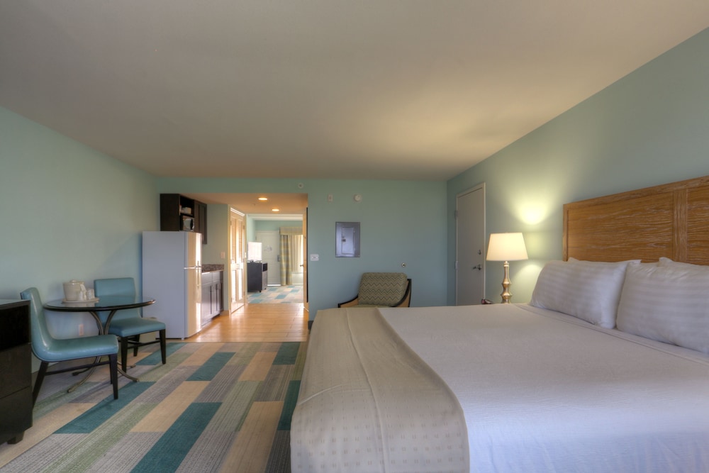 Holiday Inn Resort Jekyll Island by IHG - photo 14
