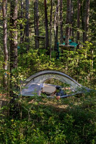 Adventure Forest in Castellane, France