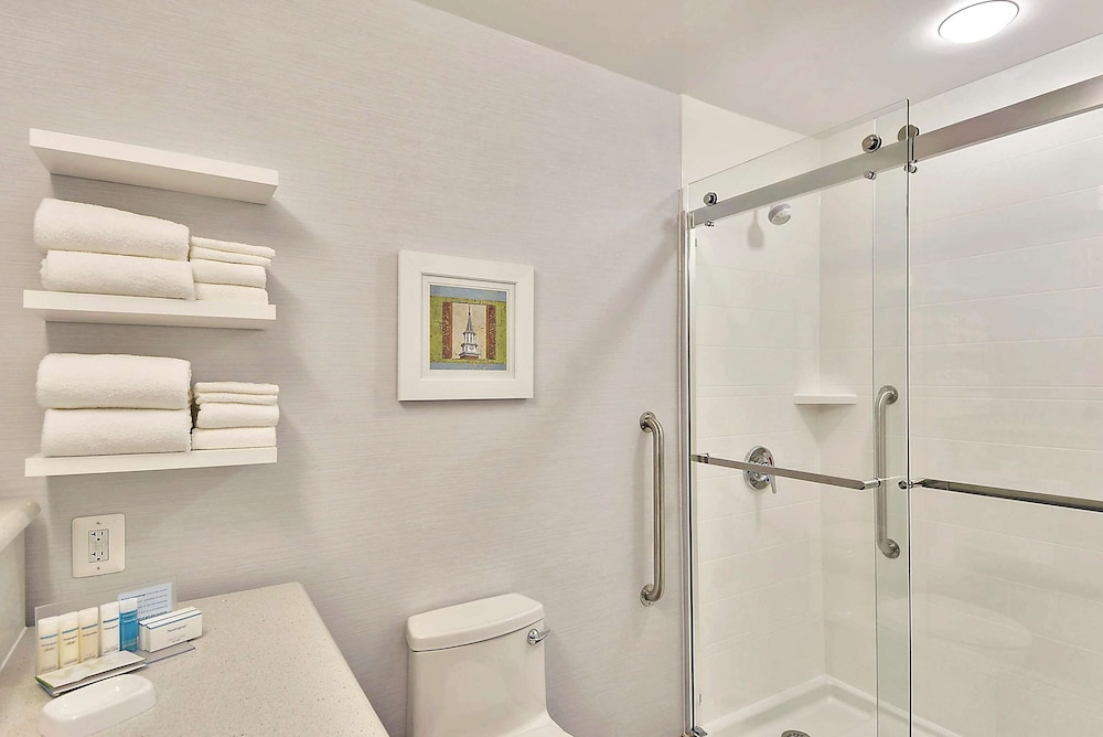 Hampton Inn Alexandria Old Town King St. Metro - photo 25