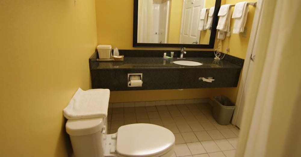 Magnolia Inn And Suites - photo 29