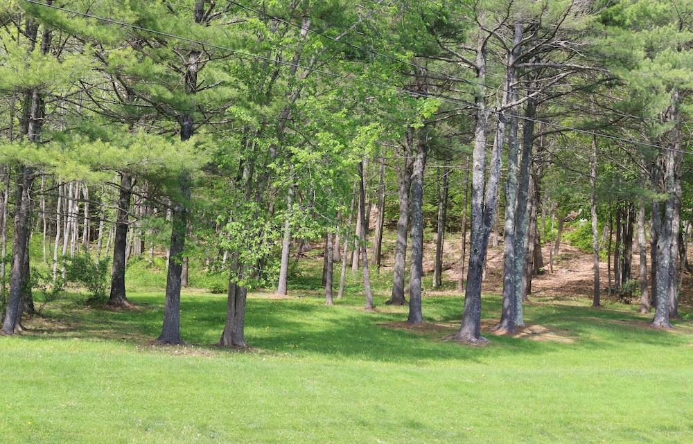 Bucksport Inn - photo 25