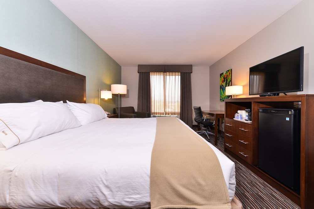 Holiday Inn Express Hotel & Suites Indio Coachella Valley an IHG Hotel - photo 5