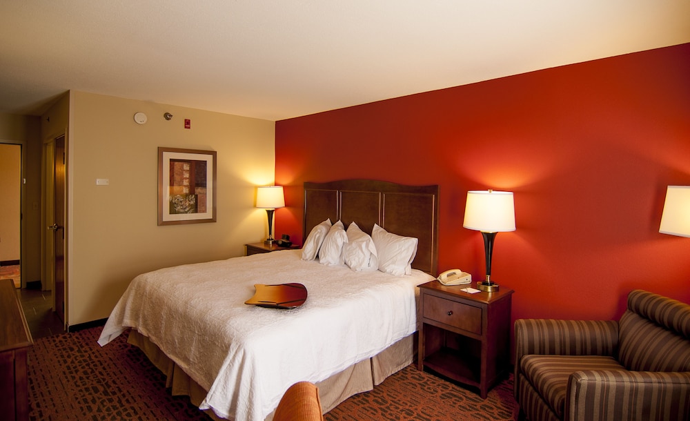 Hampton Inn & Suites Tampa North - photo 9