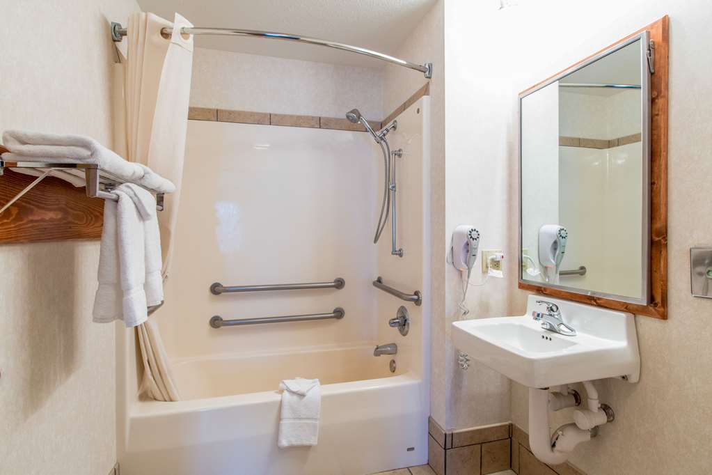 Quality Inn & Suites University - photo 17
