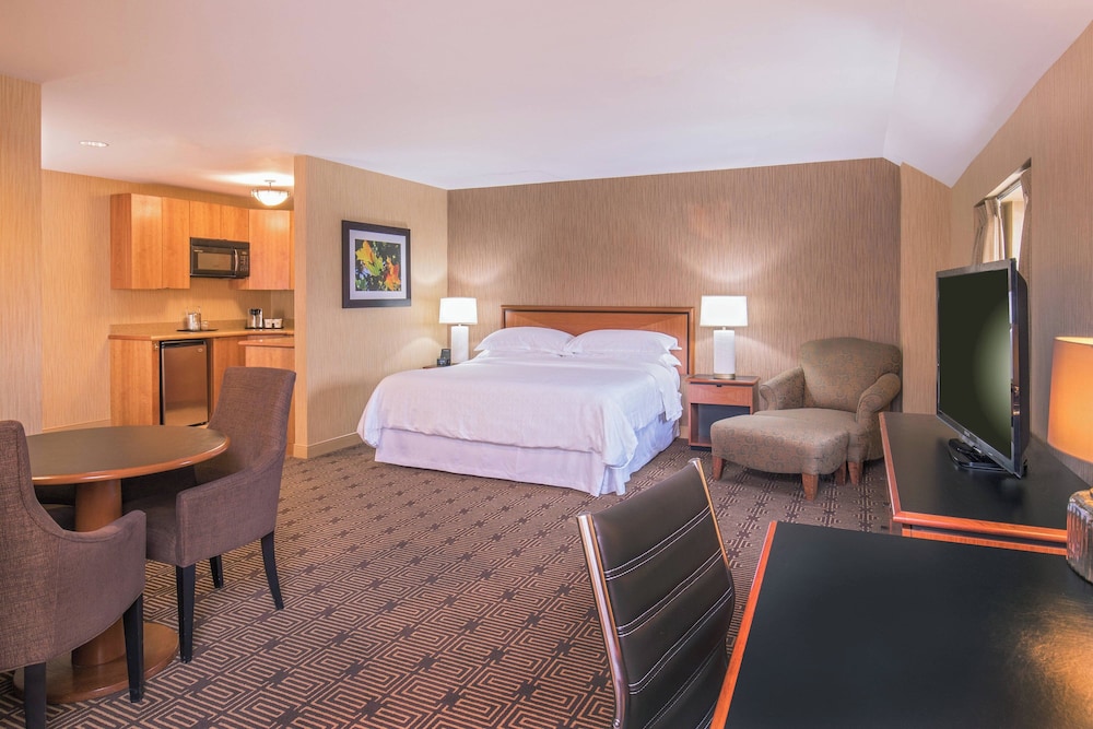 Sheraton Springfield Monarch Place Hotel - photo 9