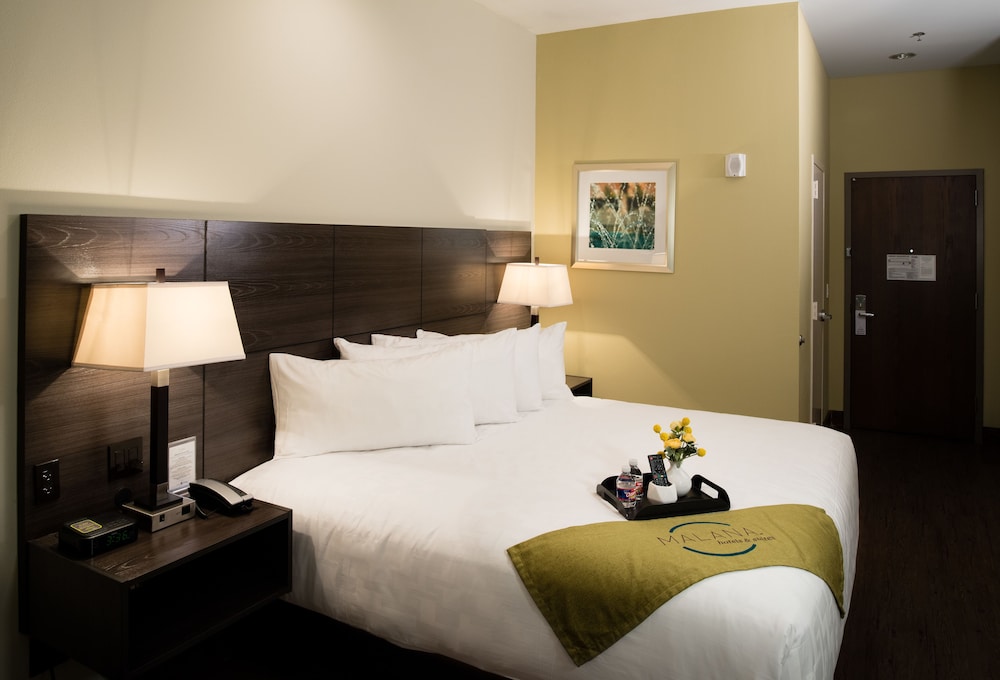 Malana Hotels & Suites - carbon neutral hotel in Cotulla