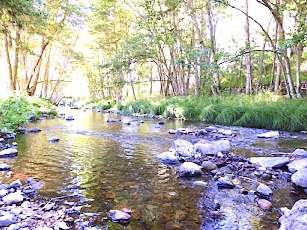 Mandala Springs Wellness Retreat Center - photo 15