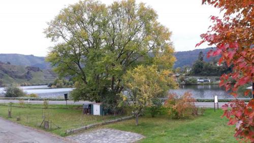 Ferienhaus in Mehring in Mehring, Germany