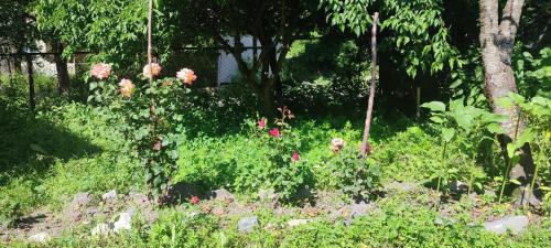 Tsknari Oda — Oni — photo 2