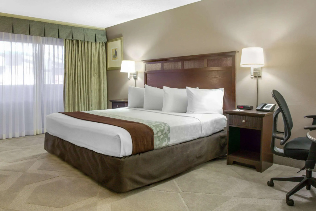 Clarion Hotel Orlando International Airport - photo 6