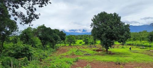Entire Private Farm on Rent 2 Acre with 3 Room it’s Kittu’s Farm — Kalyan — photo 4