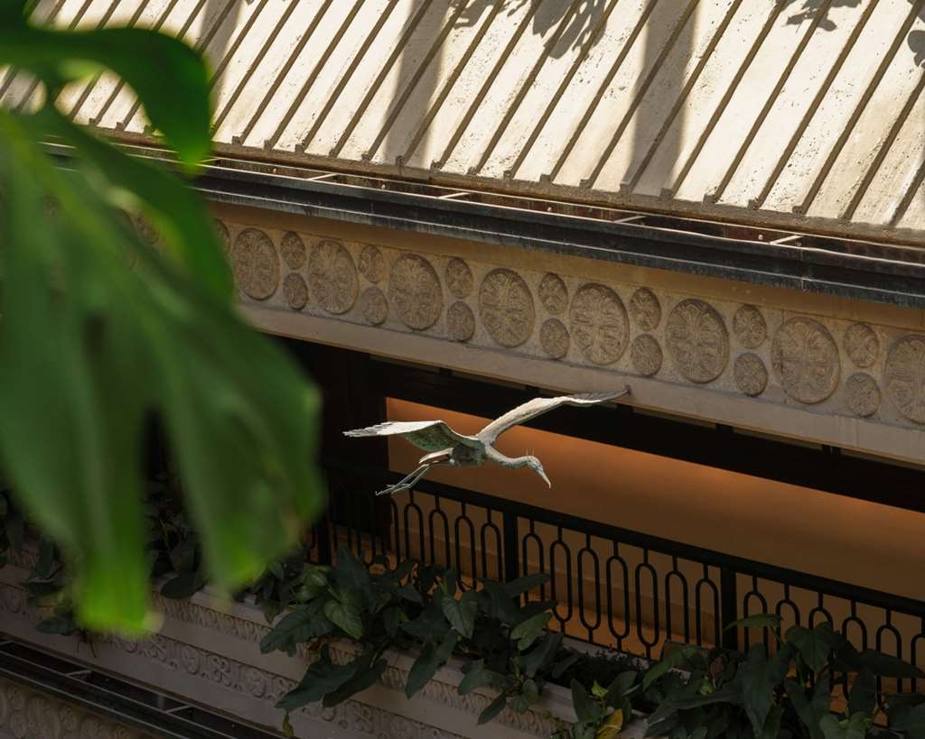 Mayfair House Hotel & Garden - photo 80