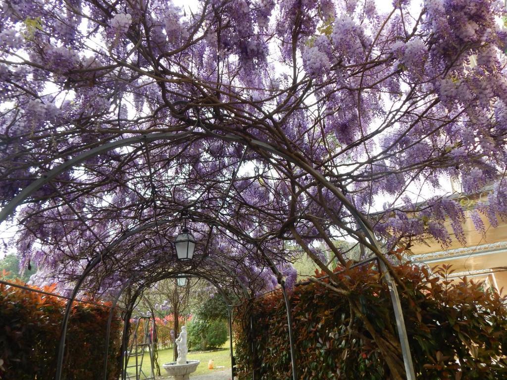 Rta la Pergola in Marina Di Massa, Italy