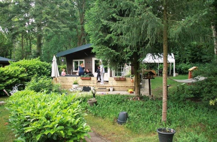 Nieuw Vebouwd Vakantie Boshuisje Meibloempje — Lanaken