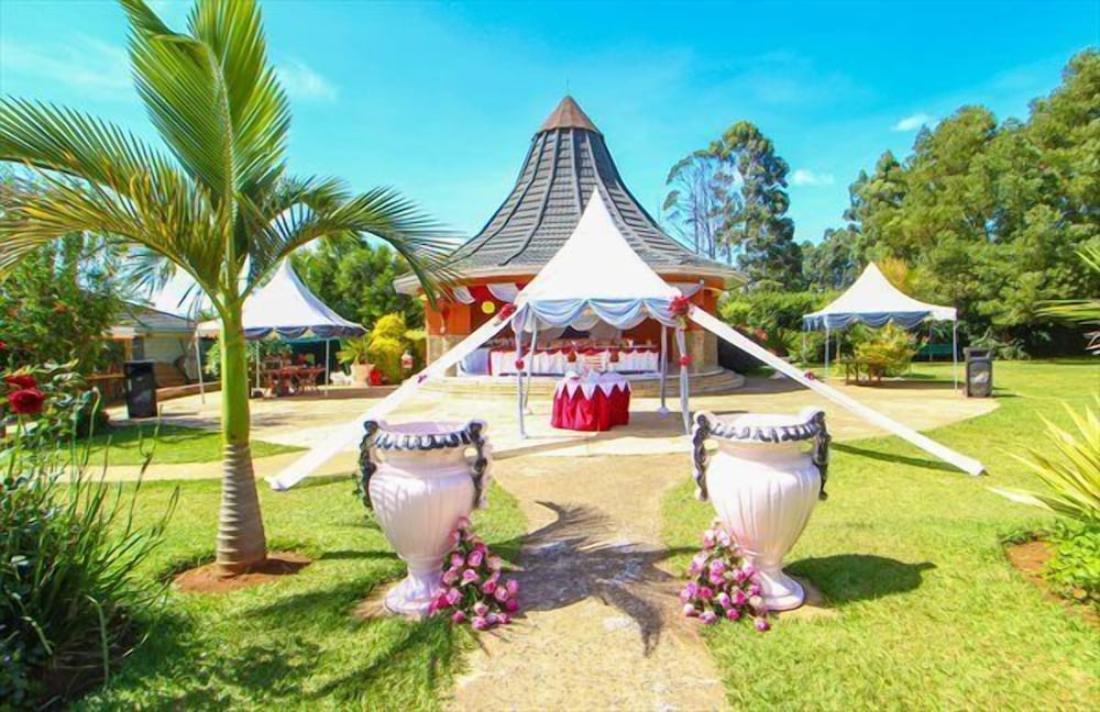 Outdoor wedding area