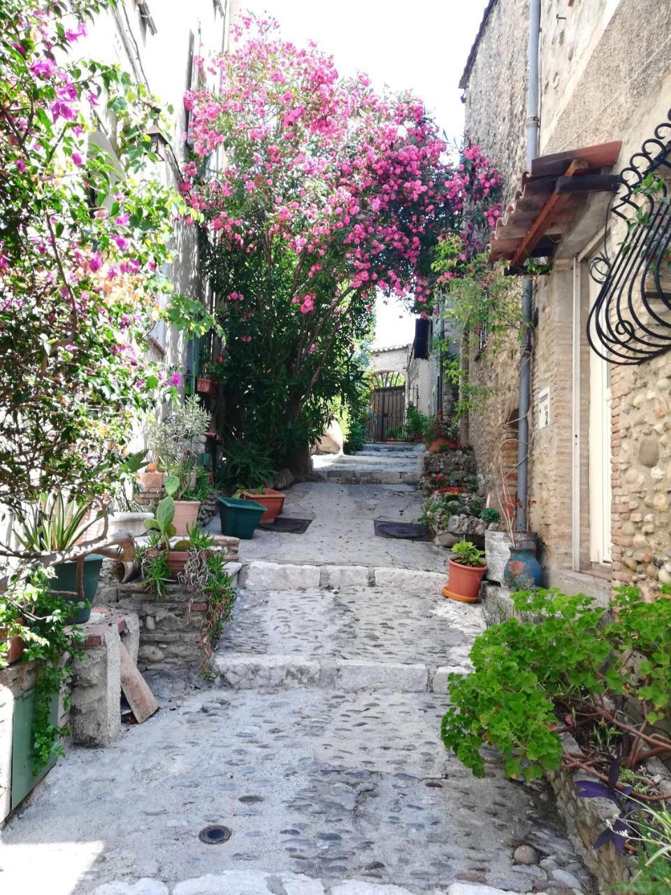 La Plenitude — hotel in Cagnes-Sur-Mer