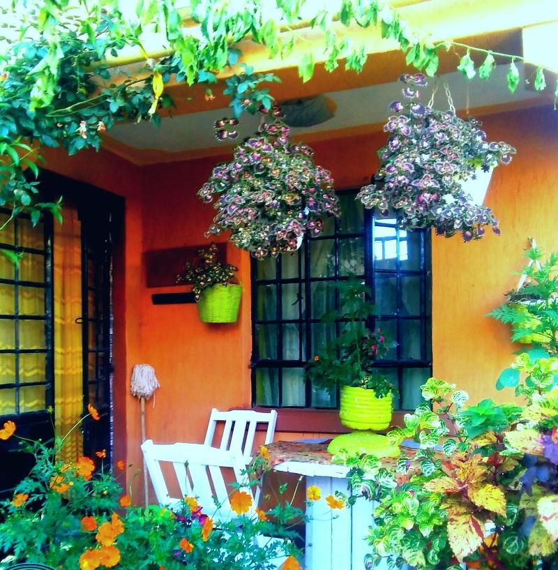Jill's Nest - last minute hotel in Nairobi